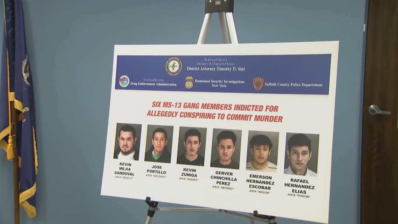 Caen seis presuntos miembros del MS-13 en conexión con dos asesinatos en Long Island