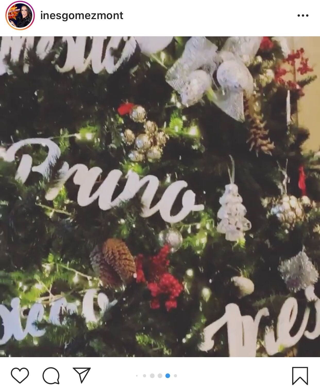 Además, en las imágenes se pudo apreciar que el árbolito se decoró con todos los nombres de los integrantes de la familia.