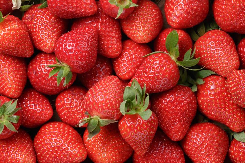 Entre otros elementos naturales que favorecen a los Piscis, tenemos varias frutas, como las fresas.