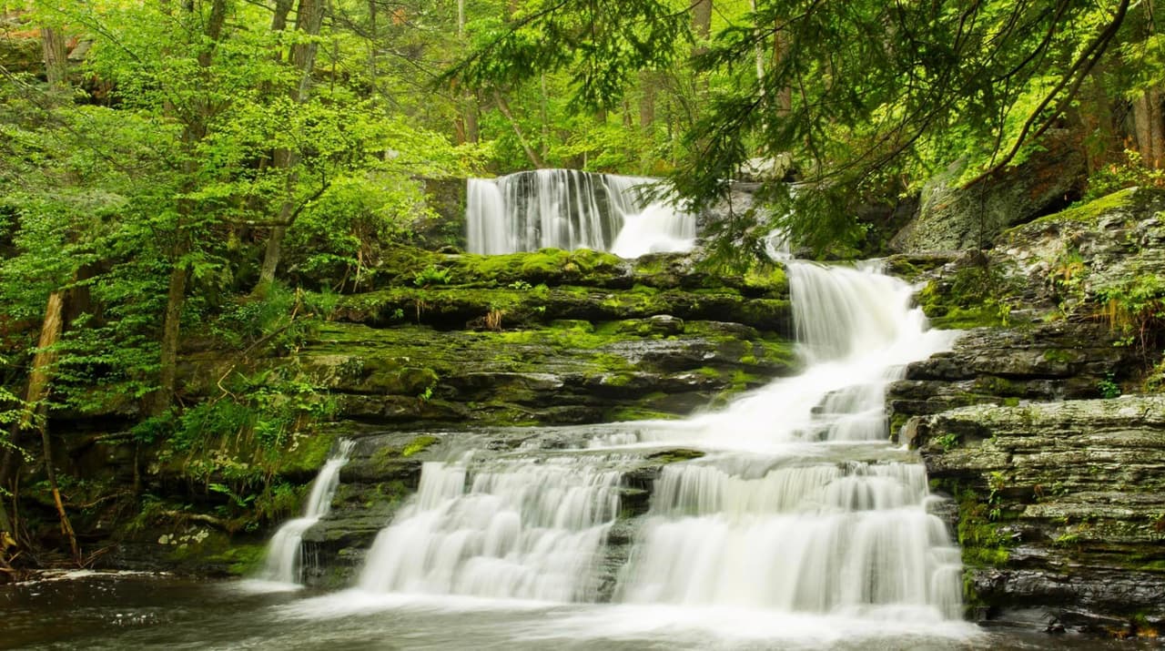 Existe también una gran cantidad de cascadas en todo el parque que brindan muchas oportunidades para ver su majestuosidad.