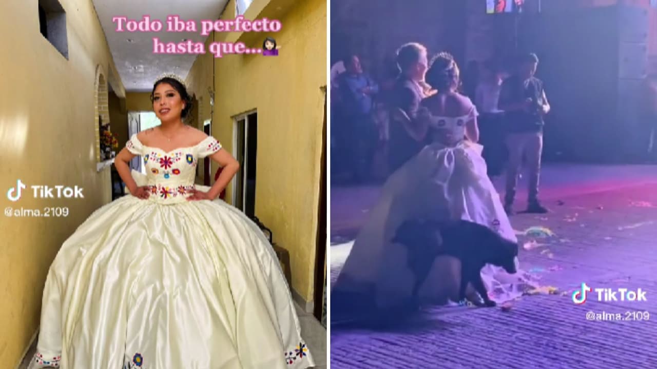 Perro orina el vestido de una quinceañera