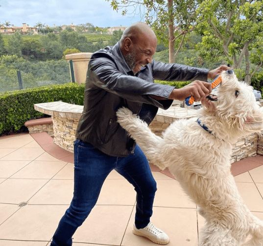Mike Tyson tiene un perro llamado Mars.