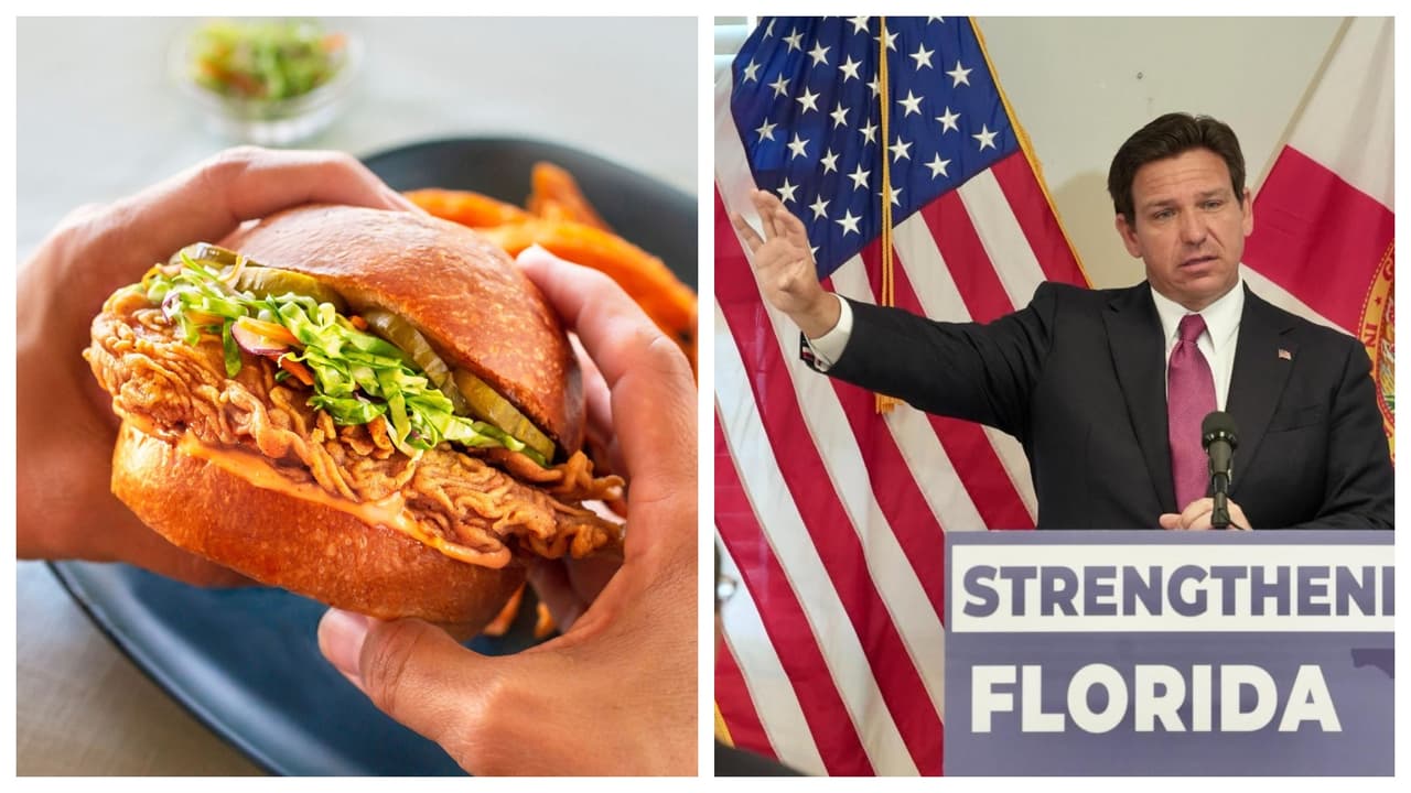 Batalla legal por carne de laboratorio en Florida: Presentan demanda contra ley de DeSantis