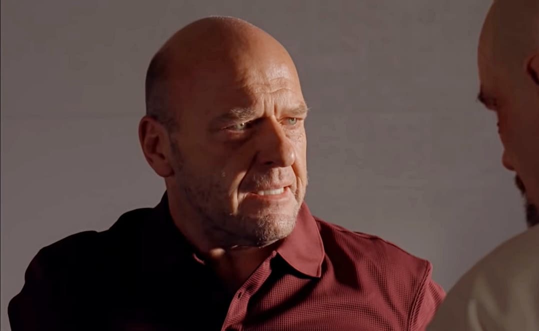 <b>Dean Norris</b>
<br>En la última temporada de 'Breaking Bad', Hank Schrader, se enfrentó a su cuñado Walter White después de descubrir que era uno de los mayores traficantes de droga de la ciudad.