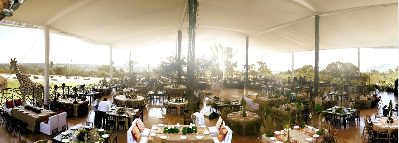 El valle de las jirafas, es otro de los escenarios que le ofrecieron a la pareja para realizar su boda, este espacio es para un máximo de 500 personas y mientras transcurre la fiesta las jirafas pasean alrededor del lugar.