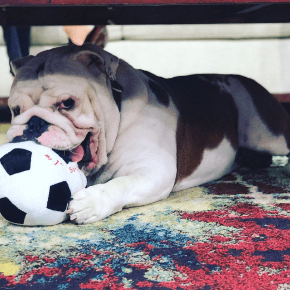 Siempre hay un lugar divertido para pasarla bien.