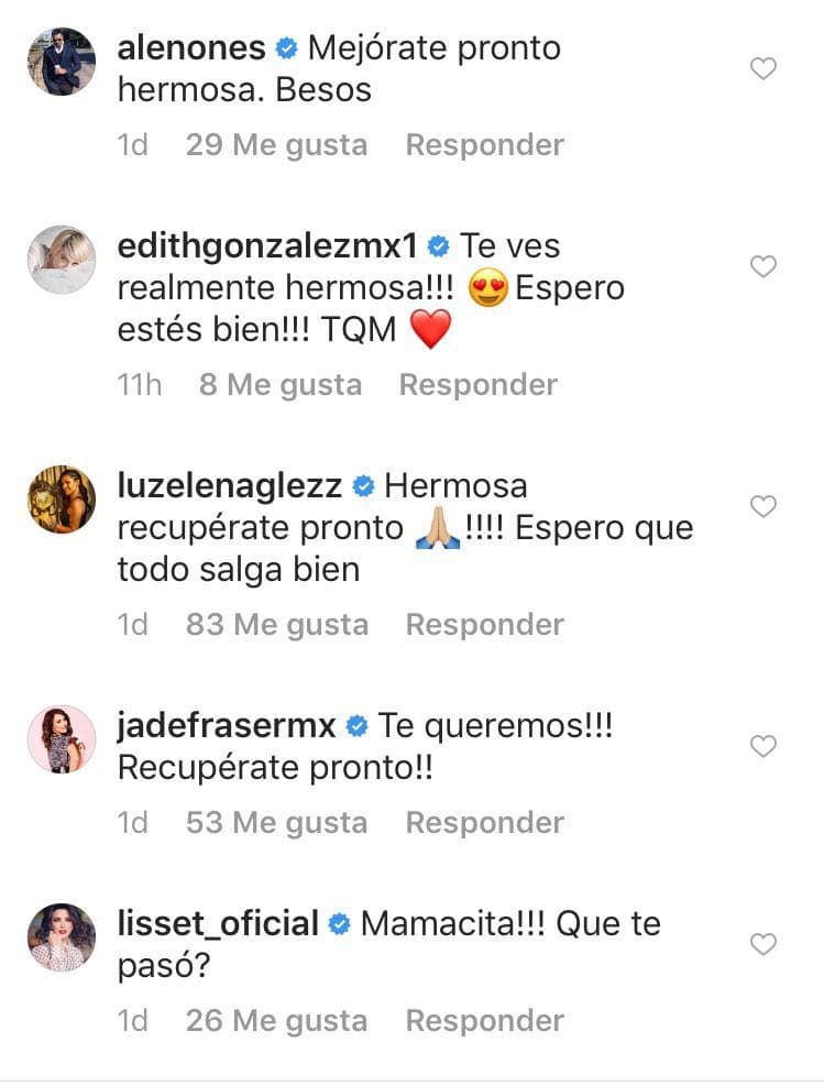 <b>Alejandro Nones</b> y 
<b>Luz Elena González</b> fueron de los primeros famosos en desearle una pronta recuperación, mientras que 
<b><a href="https://www.univision.com/famosos/en-el-funeral-de-christian-bach-solo-estuvo-la-familia-dice-su-amiga-edith-gonzalez">Edith González</a></b> resaltó lo bella que luce la actriz sin maquillaje.