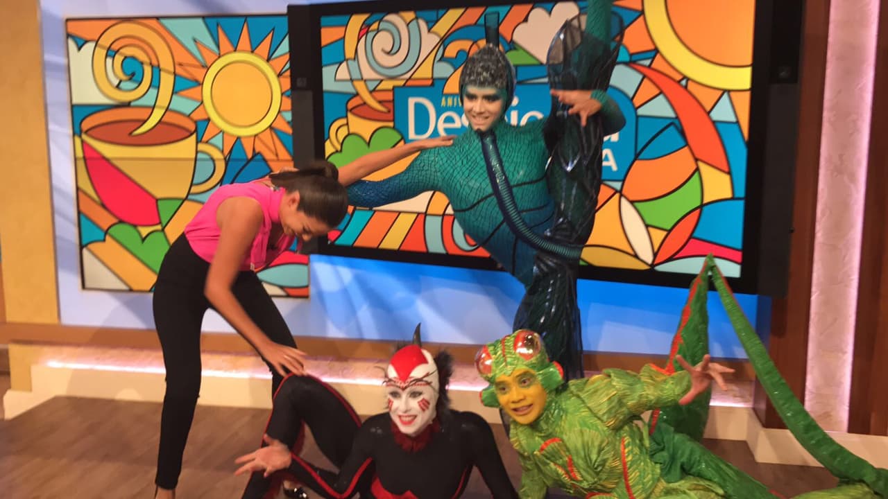 Aunque hubo algunos problemas de ejecución, Anita es muy perseverante y siguió intentando.