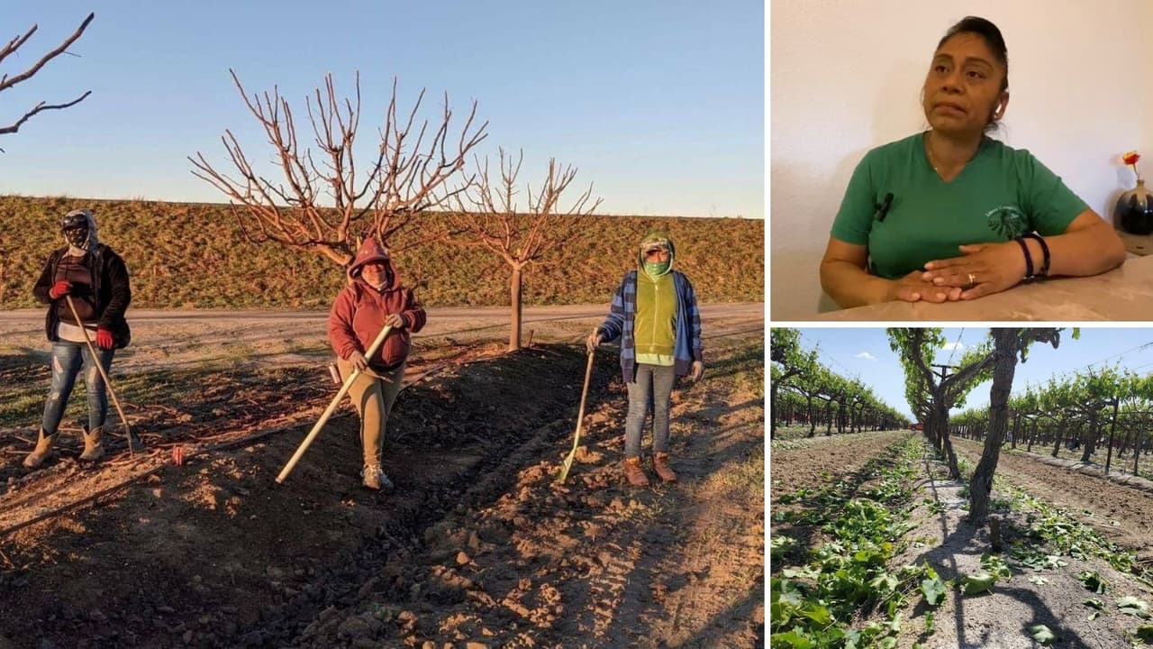 Proyecto piloto por sequía proporcionará 1,000 dólares al mes a trabajadores agrícolas elegibles en California