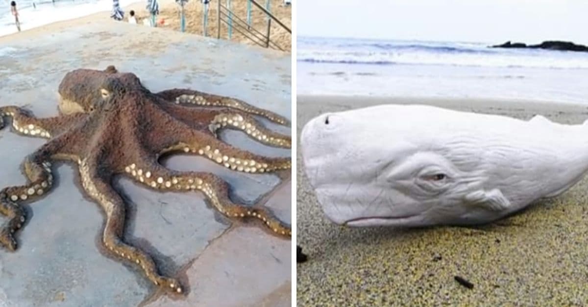 figuras de arena pulpo y ballena