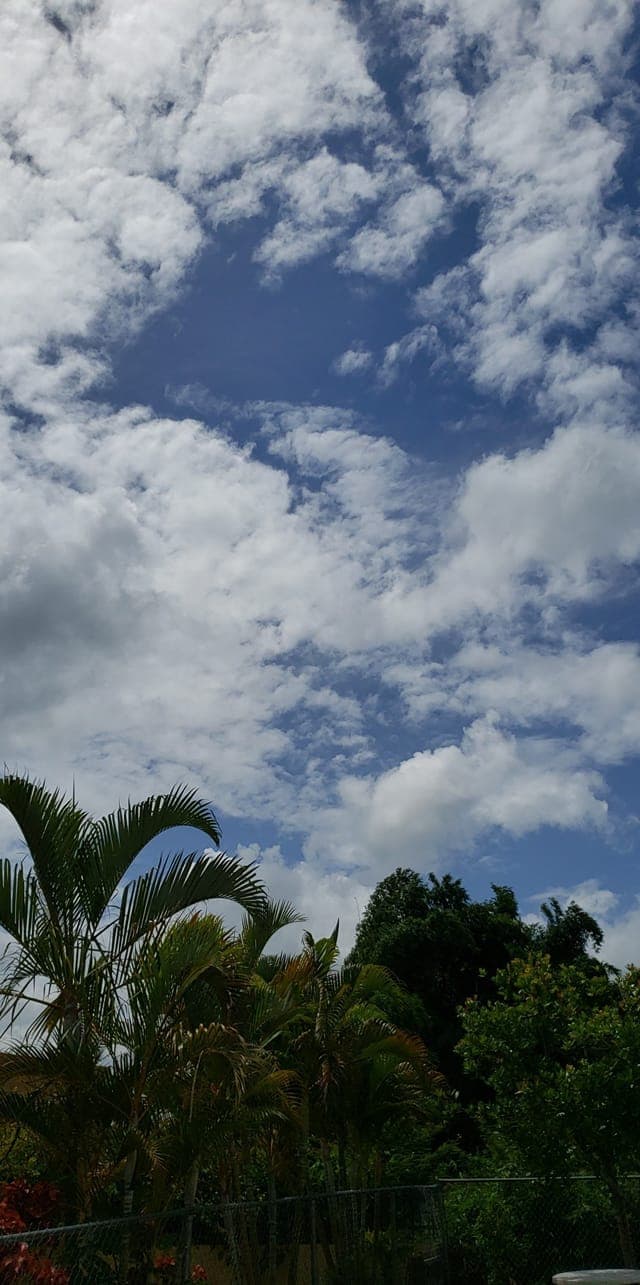 En el barrio Caracol de Añasco, nos cuenta la ciudadana Waleska Cabrera que el cielo se encuentra soleado.