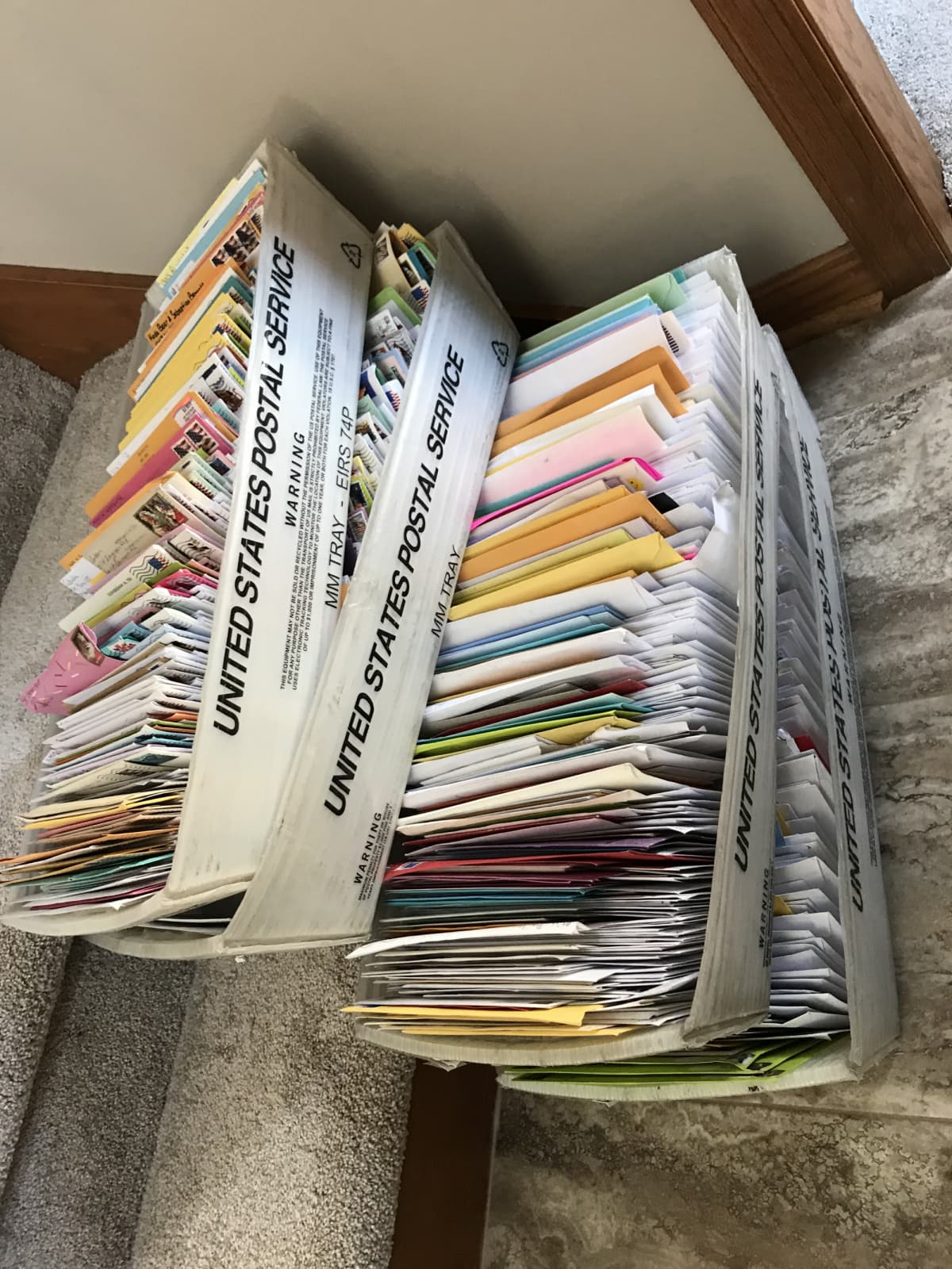 A un amigo de la familia se le ocurrió que para animarla iba a pedir a la gente que enviara fotos de sus perros y cartas de ellos a Emma. Pero no se imaginó que su solicitud se haría viral.