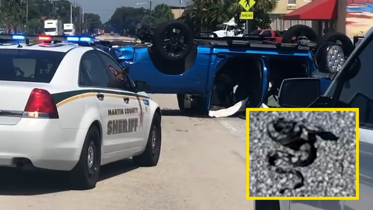 Una mujer voltea su camioneta y le lanza una "serpiente" a un policía