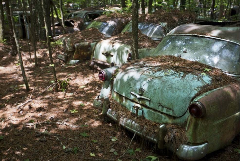 <b>Sorpréndete con los sitios más extraños de Georgia.</b> Si buscas qué hacer en Georgia, ten en cuenta que en el estado hay lugares históricos, joyas naturales y, también, destinos que algunos consideran “extraños”. 
<b><a href="https://www.univision.com/local/atlanta-wuvg/que-hacer-georgia-lugares-mas-extranos-fotos" target="_blank">Acá te presentamos algunos de los más emblemáticos</a></b>.