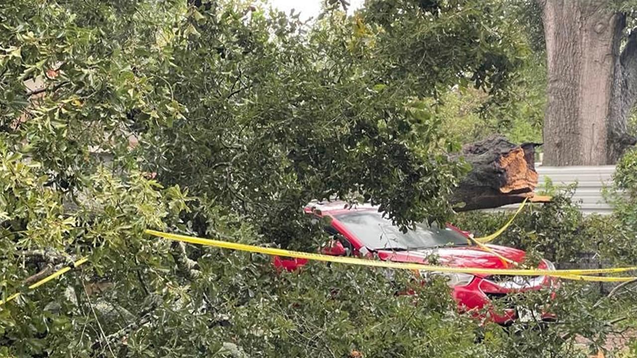 En su cuenta de Twitter, el Sheriff del condado Harris, Ed González reportó los daños en la casa por un 
<a href="https://www.univision.com/local/houston-kxln/pronostico-houston-tiempo-clima-tornado-fort-bend">posible tornado</a> al norte del condado Harris.
