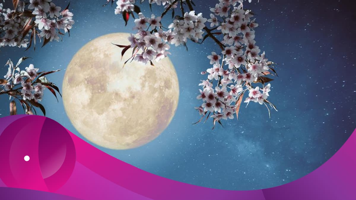 Llegó la 'Luna de las flores', el plenilunio de mayo en el elemento fuego