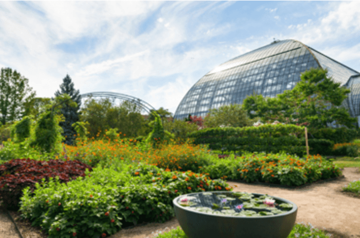 <b>Cultivo de plantas exóticas</b>
<br>"A lo largo de nuestros cien años de historia, hemos perseguido esos objetivos y más. Seguimos cultivando plantas exóticas en paisajes sorprendentes, creando el mundo en el patio trasero de Chicago."