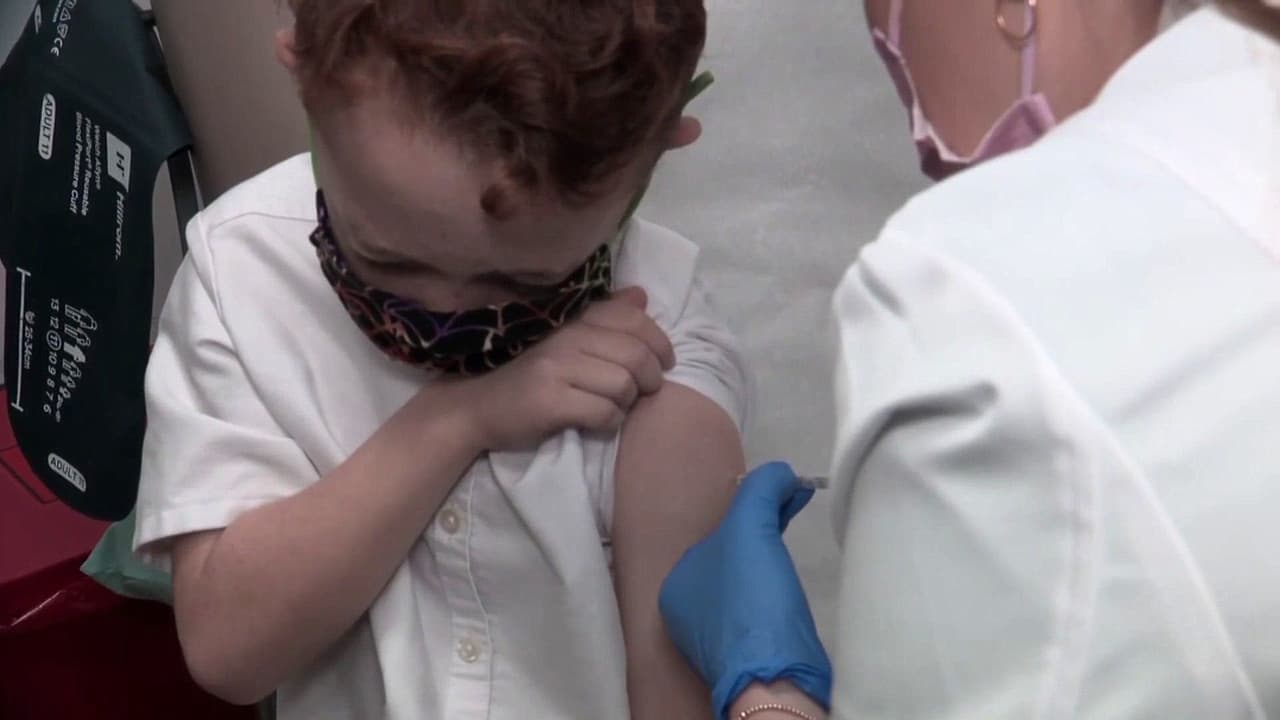 Grupos de médicos buscan frenar nueva guía de vacunas infantiles