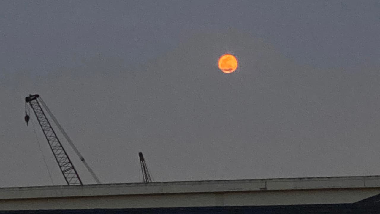 Se le dice rosada por las phlox salvajes, unas flores que florecen a comienzos de la primavera en Estados Unidos y Canadá.