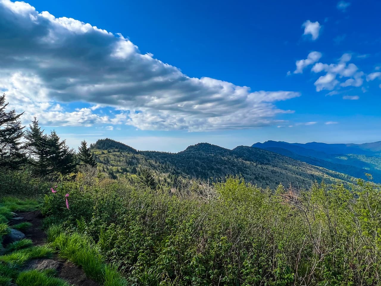 Con 6,684 pies sobre el nivel del mar, la montaña es el punto más alto al este del río Mississippi.