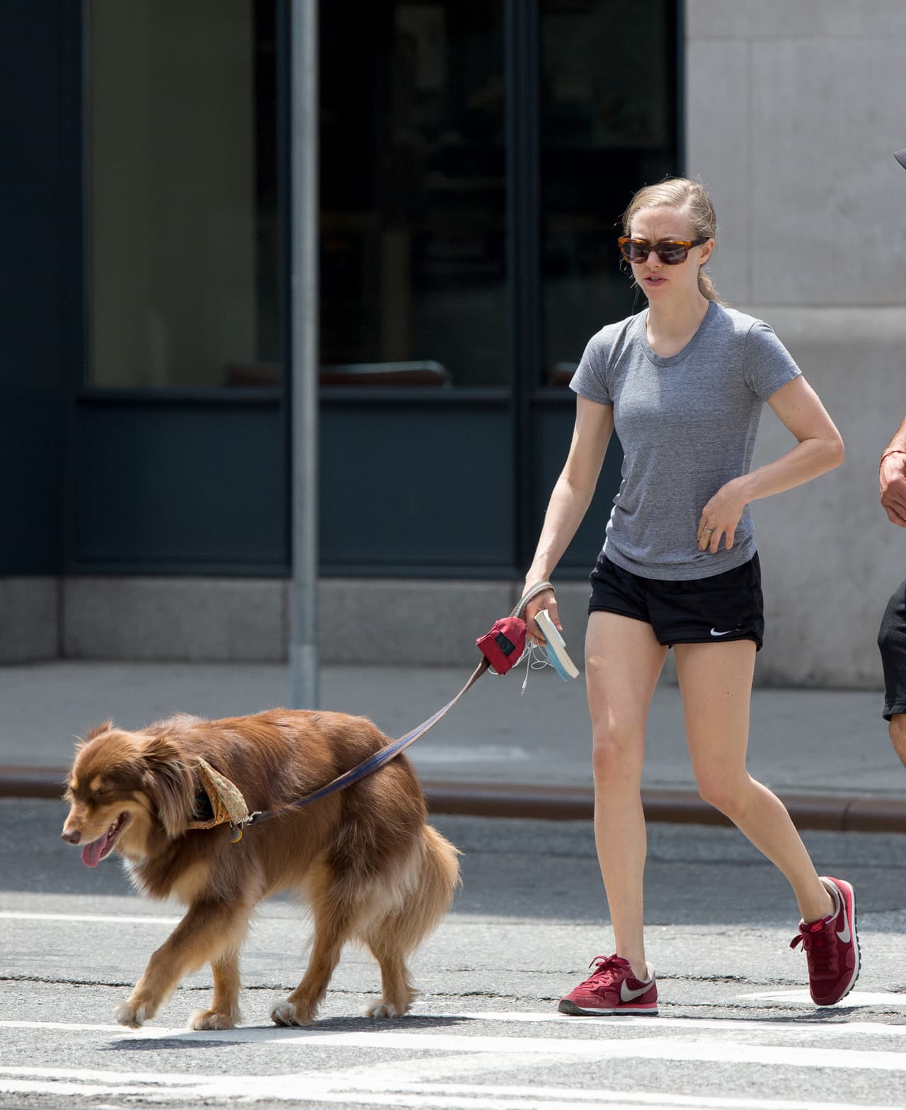 Amanda Seyfried sacó a pasear a su perro. ¡Flaquita!