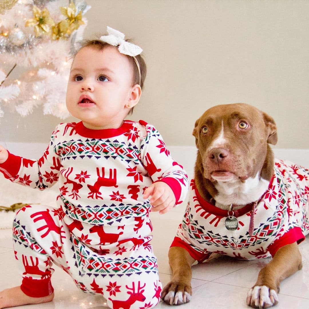 Mocha y Chloé lucen espectaculares con sus trajes de Navidad.