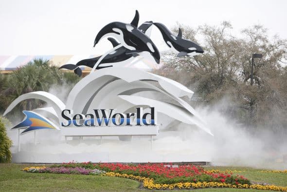 Funcionarios de Sea World han invertido millones de dólares para hacer mejoras en la seguridad del espectáculo.