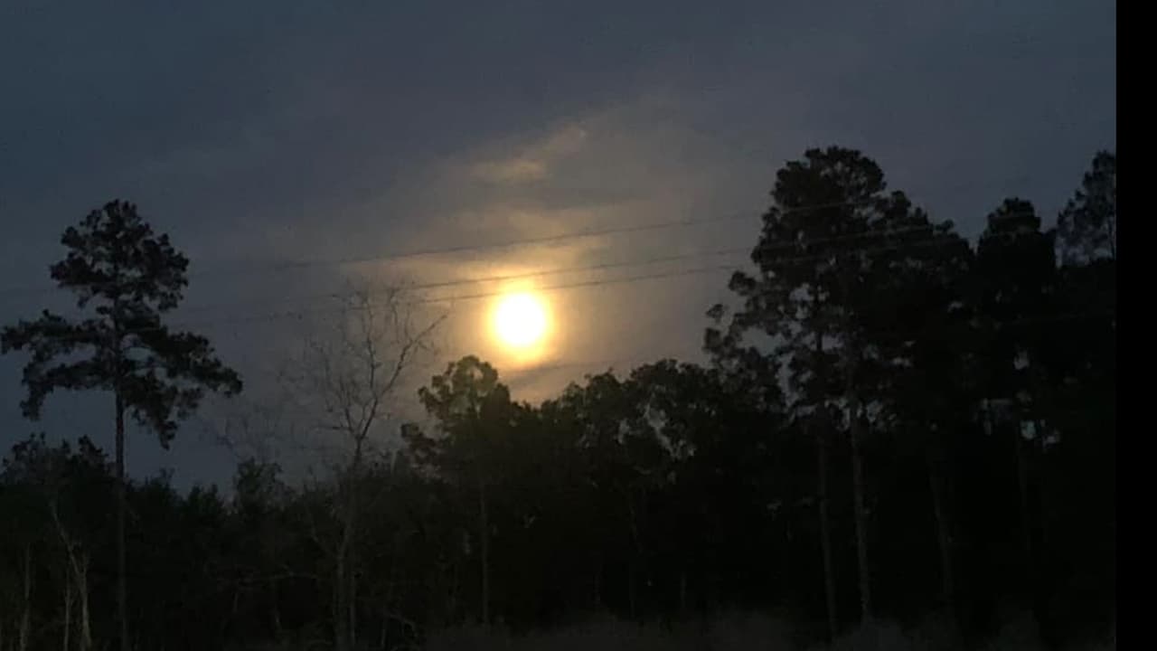 "Yo ayer me puse a observarla desde que empezó a levantarse por entre los árboles magnifico hermosisima": María Bárcenas