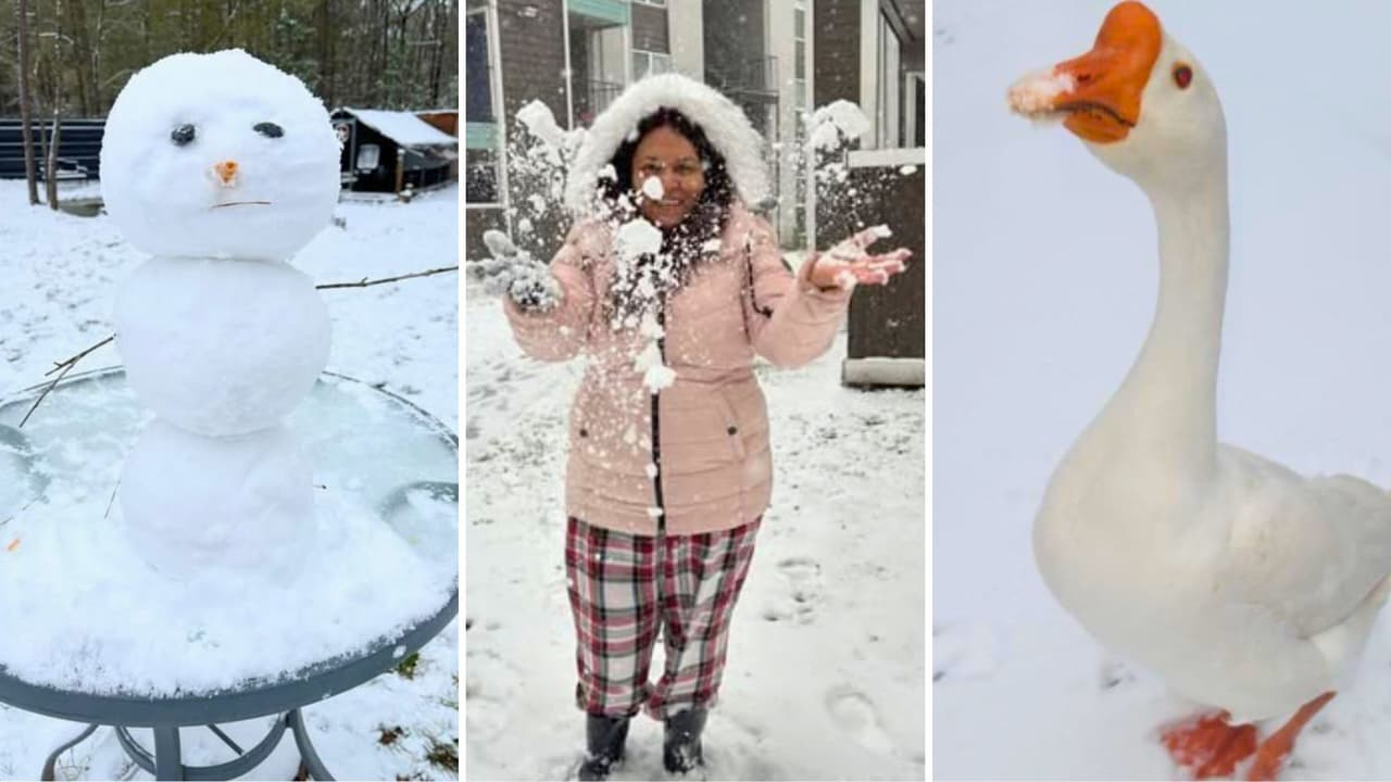 En imágenes: Houston, la Ciudad Espacial, se viste de blanco con su primera nevada del 2025