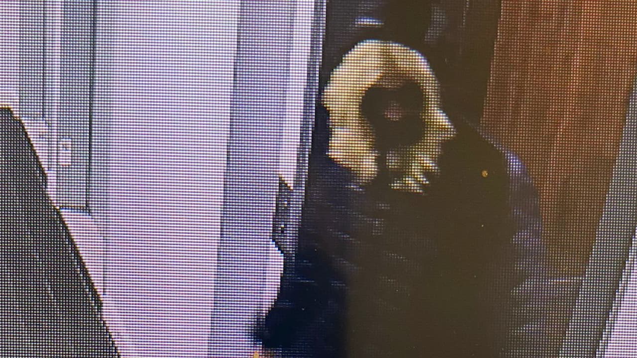 "
<b>Se vestía como hombre, se vestía como mujer, se veía que estaba tratando de ocultar algo</b>, entonces me preocupó el inquilino (pensé) algo le pasó al inquilino”, detalló Medina.
<br>