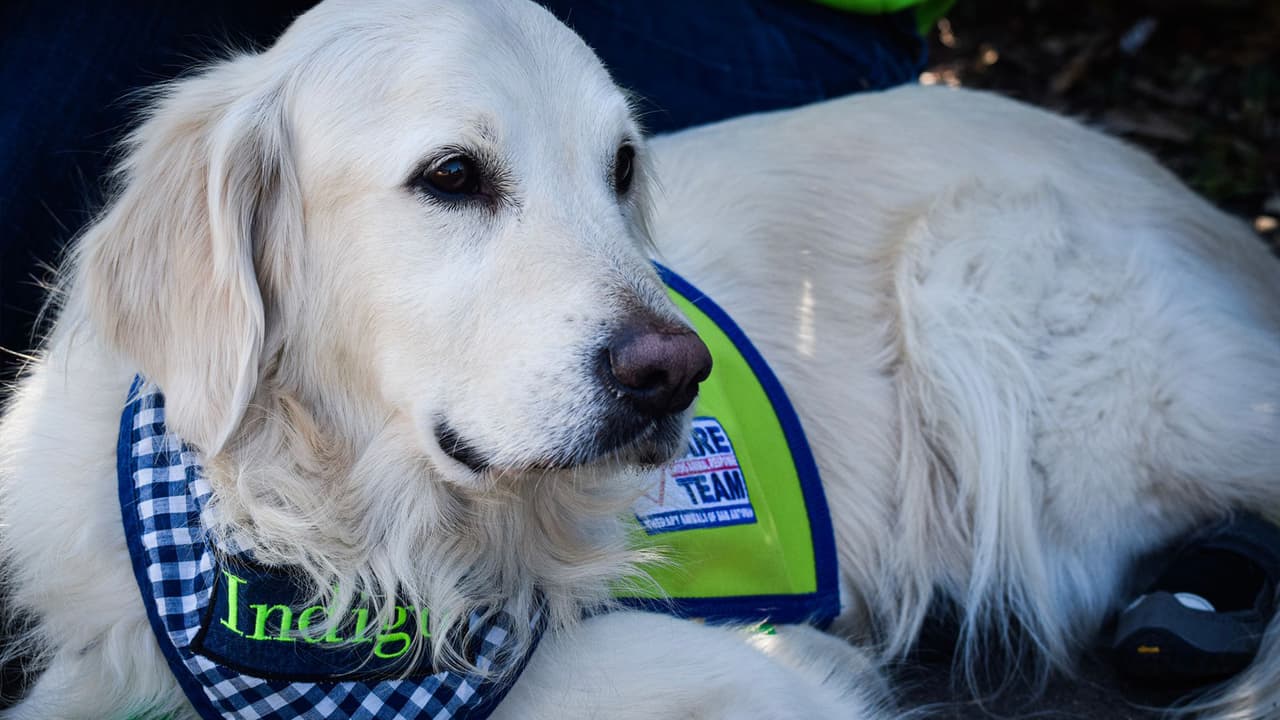 "Índigo" estuvo presente para aquellos jóvenes que estuvieron en el Astroworld y regresaron días después a recoger pertenencias que habían perdido el viernes.