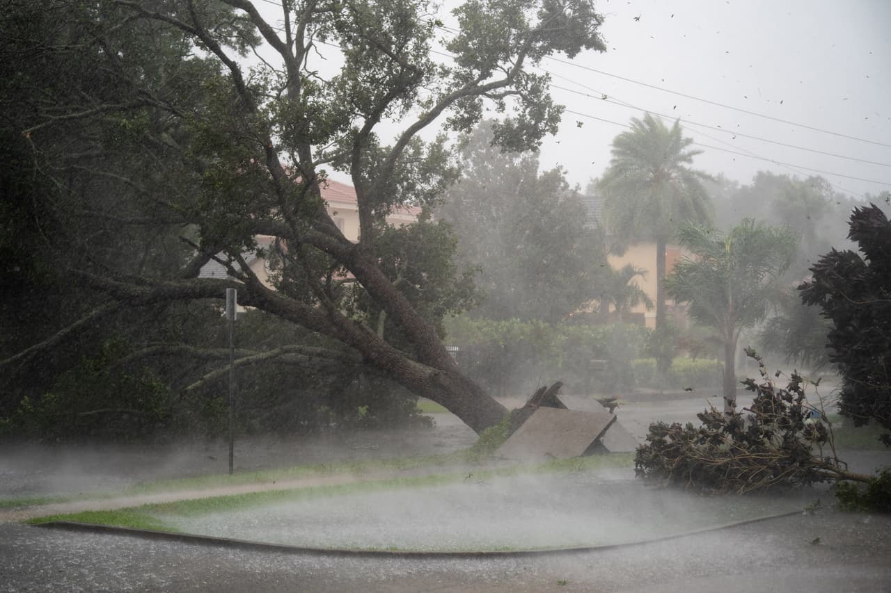 Un árbol arrancado por los vientos en Sarasota, Florida. "Ian va a ser un evento que cambiará la vida. Esta es una tormenta catastrófica muy poderosa que va a causar un daño significativo", alertó el máximo ejecutivo de la firma, Eric Silagy, durante una conferencia de prensa previa a la llegada del huracán.