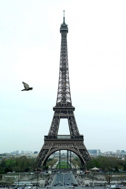 Se convirtió en la principal atracción de la Exposición Universal con motivo del centenario de la Revolución Francesa.