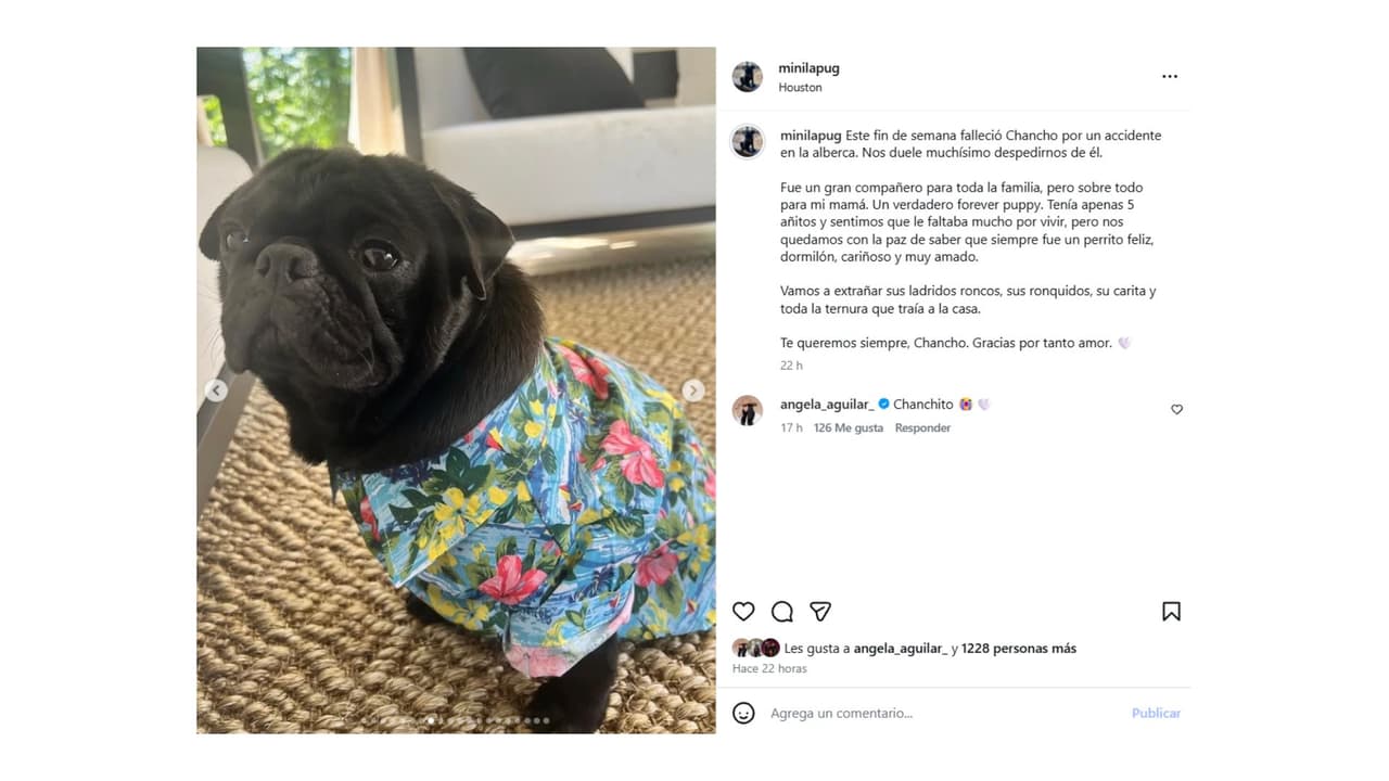 Así se reportó la muerte de Chancho, la querida mascota de la familia Aguilar.