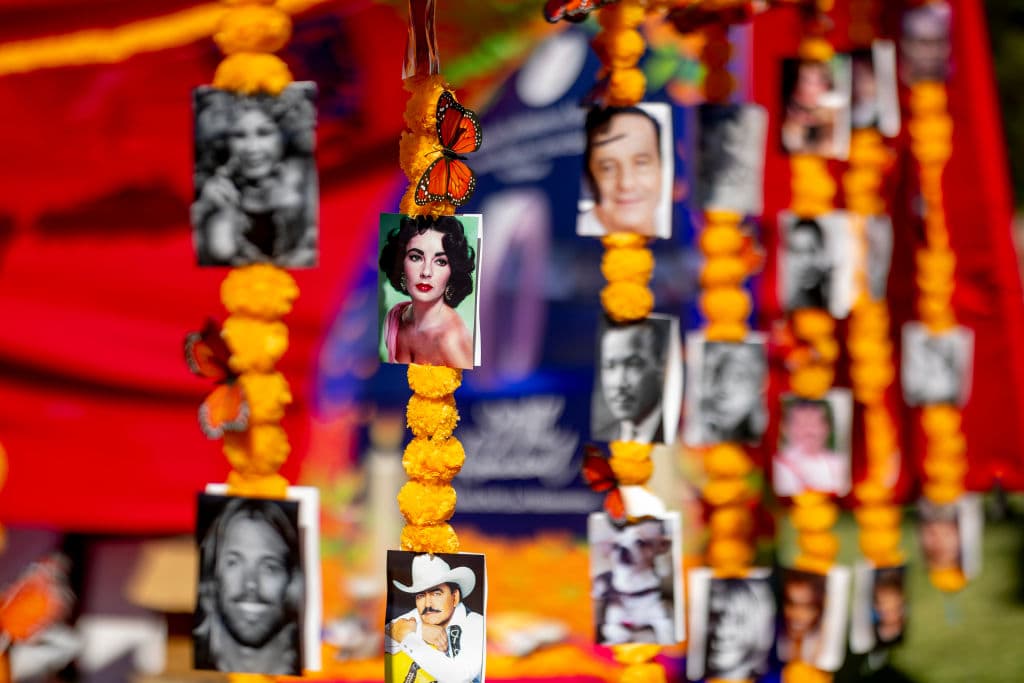 Estrellas internacionales como la actriz británica 
<b>Elizabeth 'Liz' Taylor</b> y el cantautor mexicano 
<b>Joan Sebastian</b> fueron recordados. No faltó tampoco la imagen de 
<b><a href="https://www.univision.com/los-angeles/kmex/roberto-gomez-bolanos-inicios-de-la-carrera-de-un-genio-video" target="_blank">Roberto Gómez Bolaños, 'Chespirito'</a></b>, escritor, guionista, productor y actor mexicano, que dejó una huella indeleble en múltiples generaciones de latinoamericanos, con sus series de televisión con personajes como 'El Chavo del 8', 'El Chapulín Colorado' y hasta 'El Dr. Chapatín', entre muchos otros.