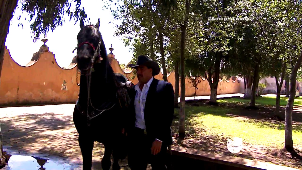 Además de su caballo, es su amigo. Le contó todas sus penas.