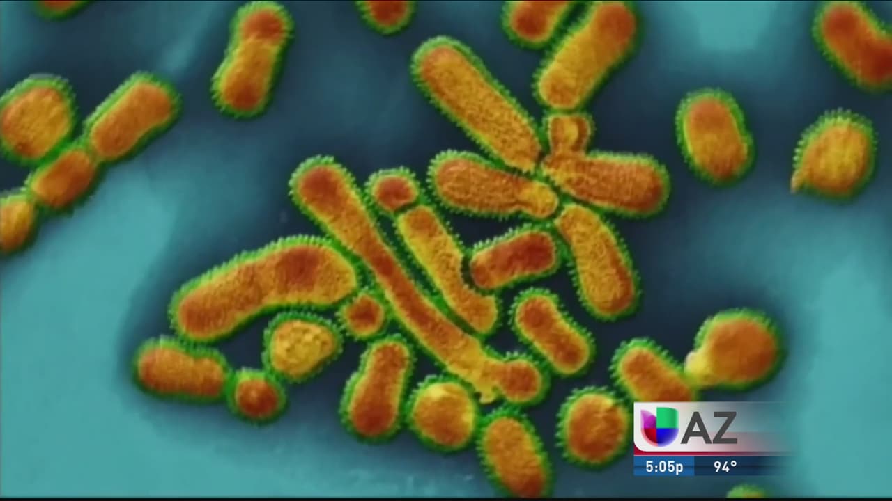 Se confirman dos casos de influenza en Arizona