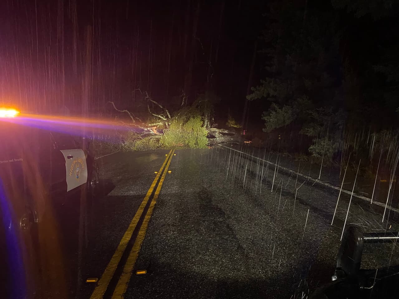 El viento y la lluvia durante la noche causaron inundaciones en muchas carreteras. Este árbolcayó sobre los dos carriles de de Freedom Boulevard al oeste de Valencia Road, impidiendo el paso.