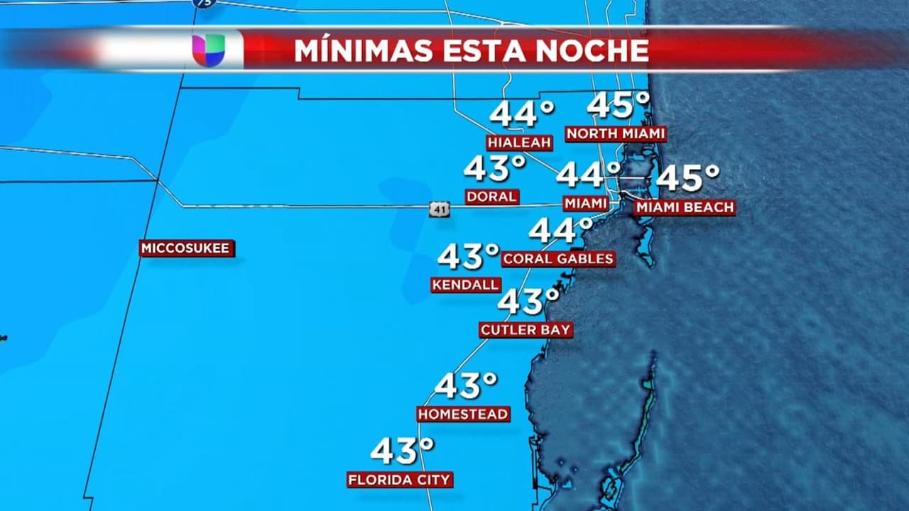 Llega el frío: Miami tendrá la sensación térmica más baja en 5 años la madrugada del miércoles