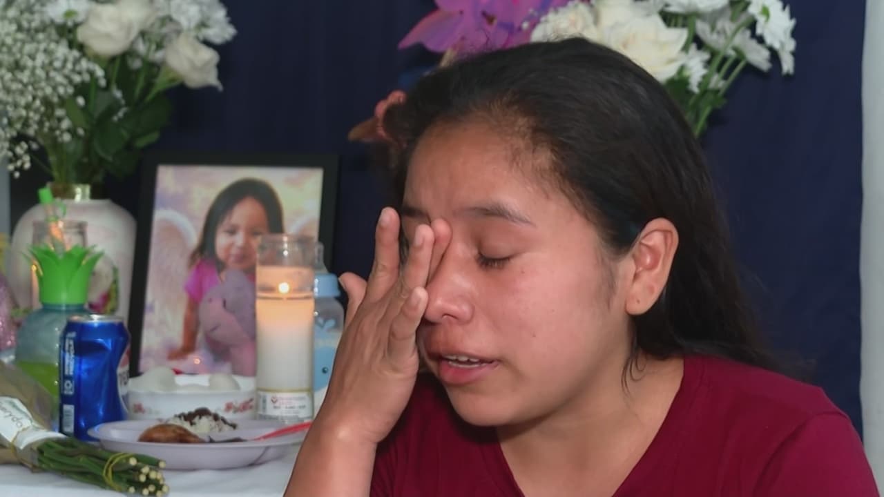 "Deseaba verla crecer": madre de niña de 2 años que murió tras ser olvidada en un auto en Hallandale
