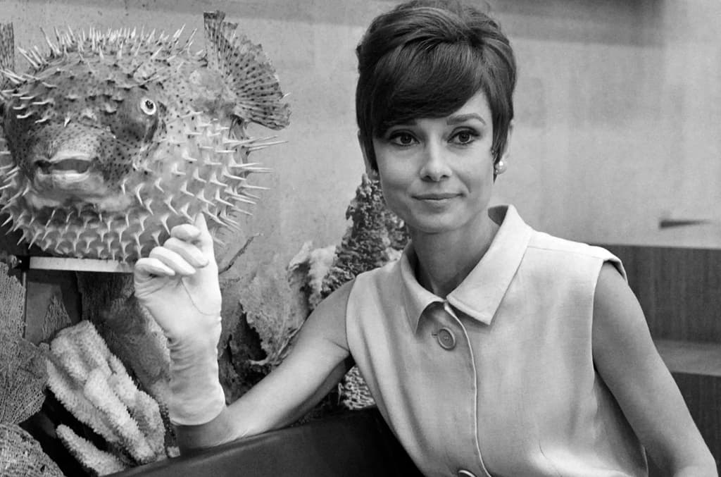 “La belleza de una mujer no está en la ropa que se pone, la figura que tiene o la forma en la que se peina el pelo” Audrey Hepburn.