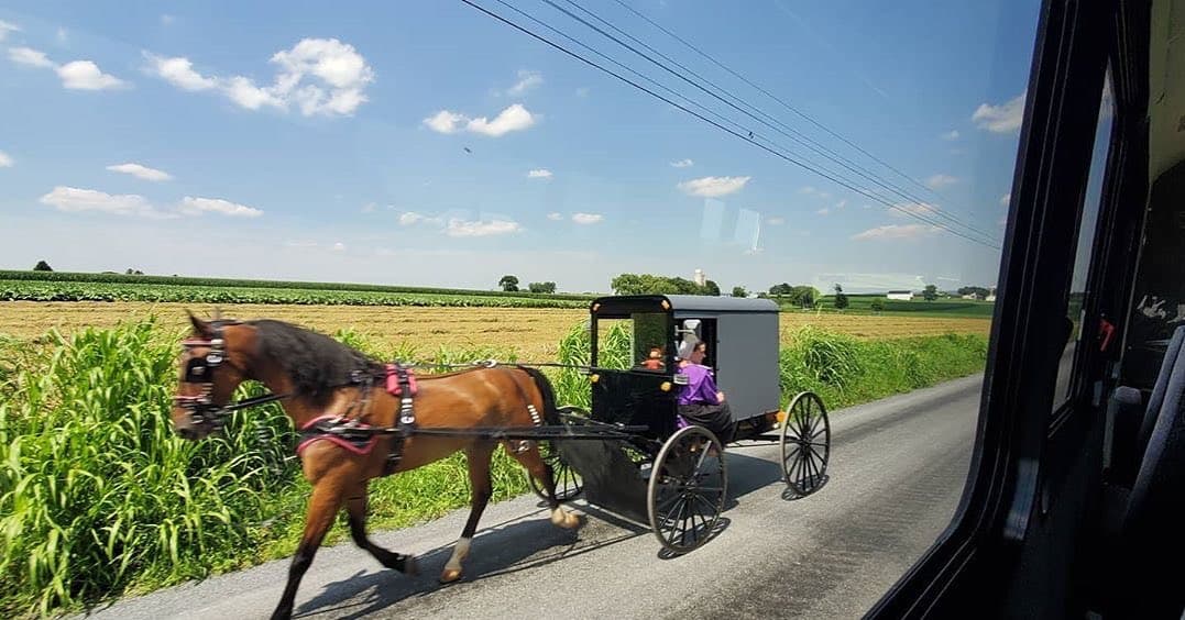 Comienza tu visita aprendiendo sobre la historia y el patrimonio Amish en la visita guiada a la casa. Luego, da el siguiente paso y pasea por la campiña Amish en un pintoresco recorrido en autobús. Luego se realiza una parada en un negocio Amish en el camino. Después de las visitas guiadas, pasarás tiempo en una granja de 15 acres. Hay diversión para toda la familia ya que se puede alimentar y acariciar a los animales de la granja, explorar una escuela construida por Amish, cruzar un puente cubierto y mucho más.