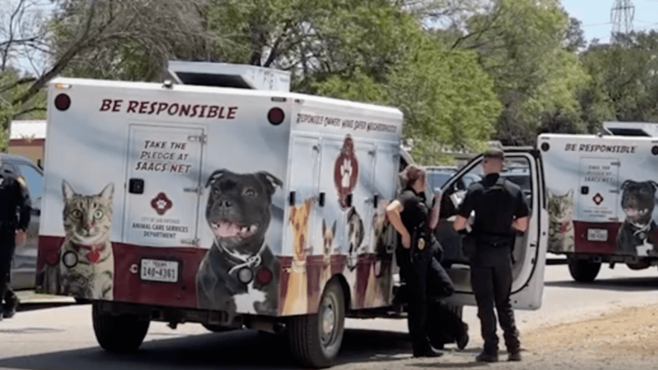 Dan citatorios al dueño sospechoso de un perro que mordió a un hombre en San Antonio