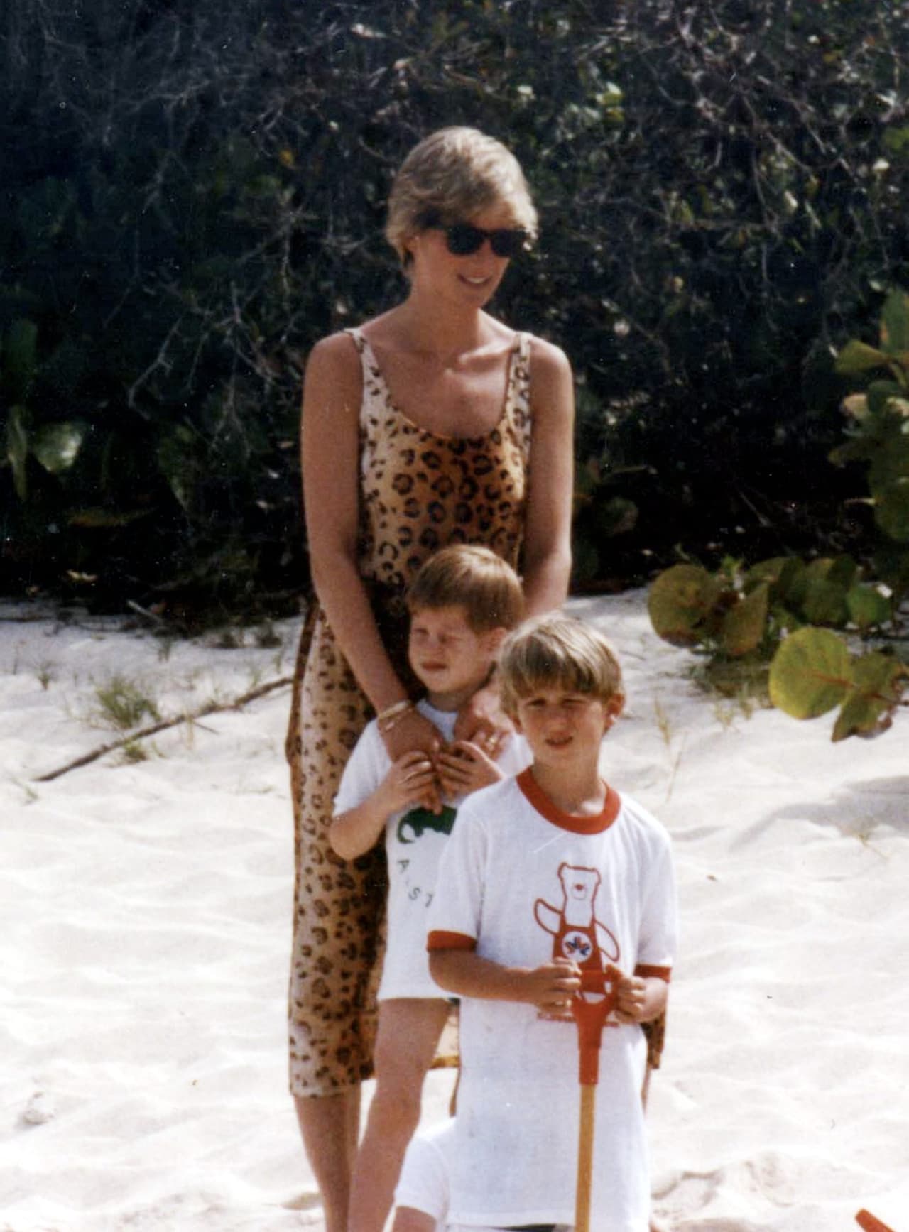 "Ellos son miembros de la realeza. Han perdido 
<a href="https://www.univision.com/entretenimiento/11-revelaciones-sorprendentes-sobre-lady-di-video">a su madre</a> (Lady Diana) a una edad muy, muy joven", afirma Levin.