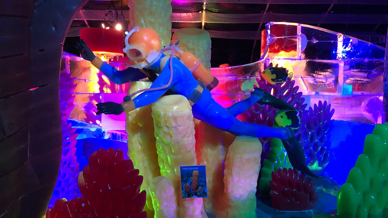 Podrán explorar las profundidades del océano y descubrirán tesoros escondidos.