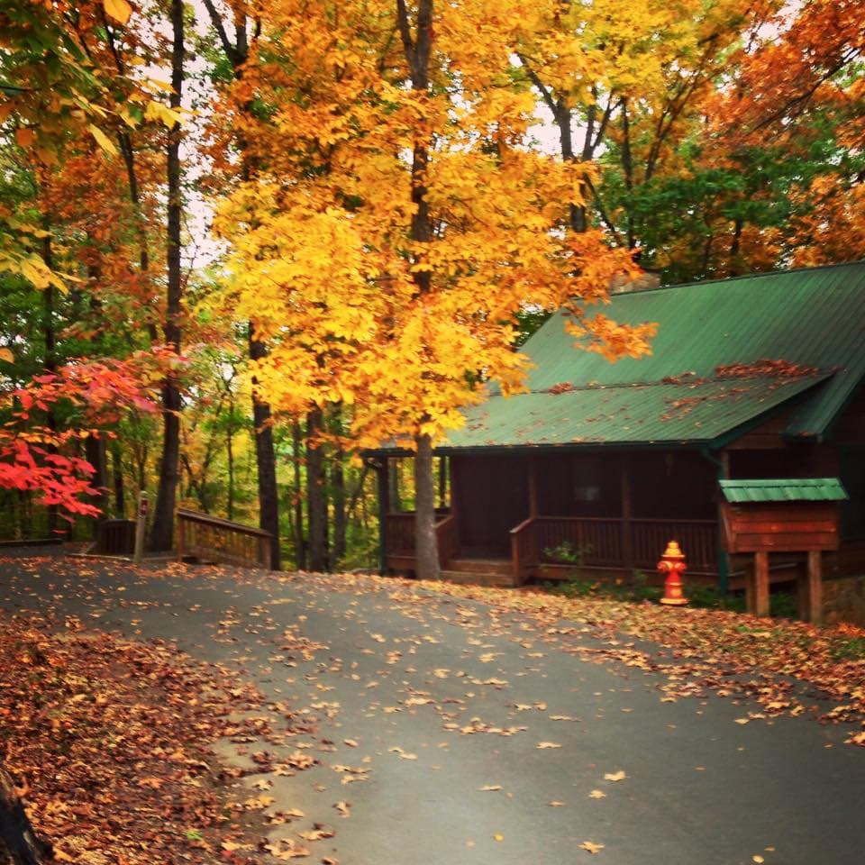 <b><a href="https://gastateparks.org/RedTopMountain" target="_blank">El parque está en el 50 de Lodge Road SE, en Acworth. </a></b>