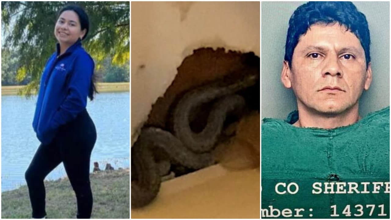 El asesinato de Anggy Díaz, sismo en Turquía y el arresto de Francisco Oropesa: las 6 historias más vistas en 2023