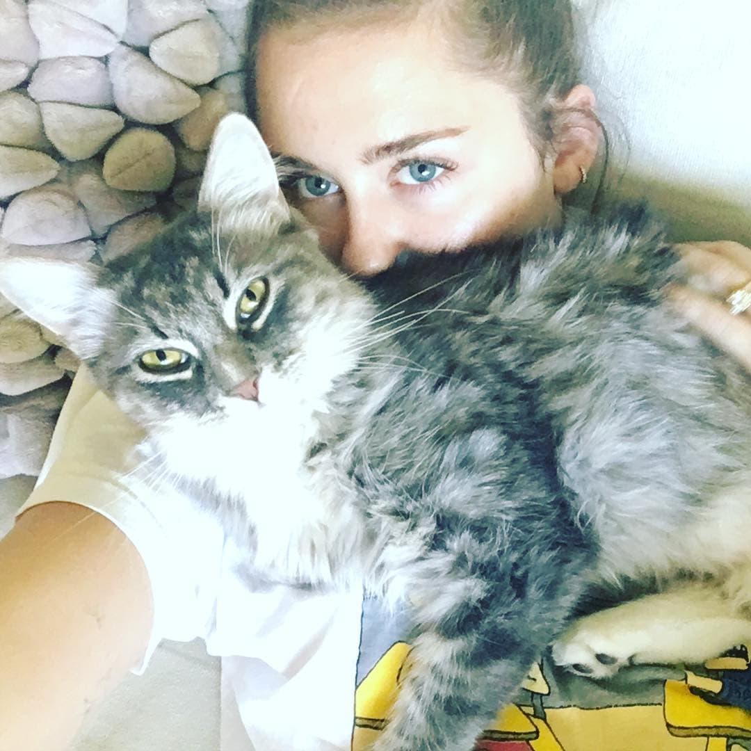 Ha tenido algunos accidentes con sus gatitos y ha terminado muy rasguñada.