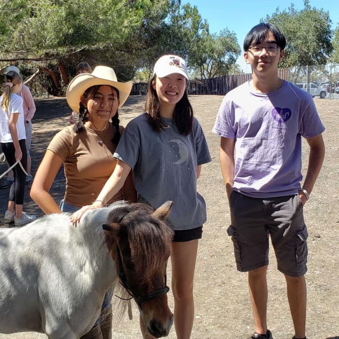 Los voluntarios y las donaciones de la comunidad son una parte clave de Animal Assisted Happiness.
<br>