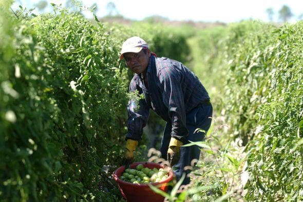 Los tres cuentos de Trump